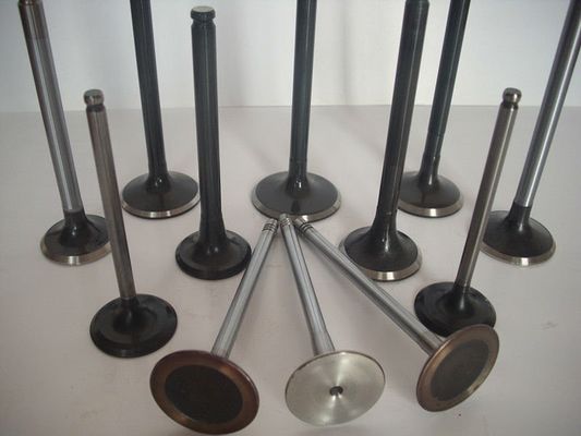 Válvula de motor diesel do elevado desempenho e retentores 3L 3L 5L 3SGTE/peças sobresselentes do carro