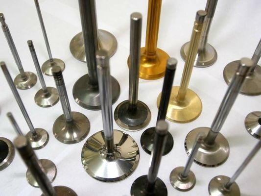 Válvula de motor diesel do elevado desempenho e retentores 3L 3L 5L 3SGTE/peças sobresselentes do carro